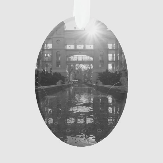 Coronado Sunburst Grijs Ornament (achterkant)