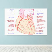 Coronaire arteriën circulatiediagram Humaan Hart Canvas Afdruk (Insitu (Houten vloer))