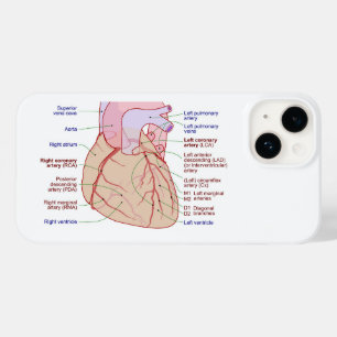 Coronaire arteriën circulatiediagram Humaan Hart Case-Mate iPhone 14 Hoesje