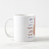 Coronaire arteriën circulatiediagram Humaan Hart Koffiemok (Links)