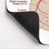 Coronaire arteriën circulatiediagram Humaan Hart Muismat (Hoek)