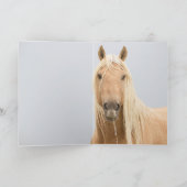 Corona's Dawn Portrait Wild Horse Wenskaart Kaart (Binnen)