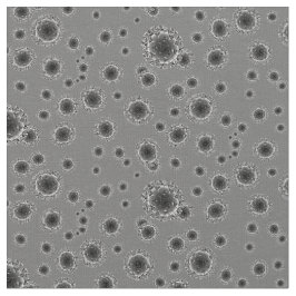 Coronavirus - Grijs Stof
