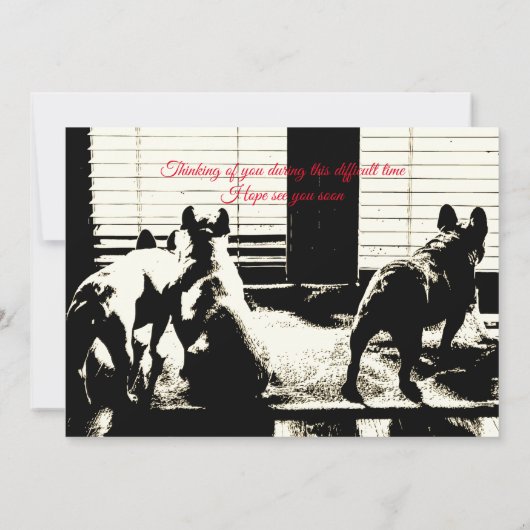 Coronavirus-groet (Achterkant)