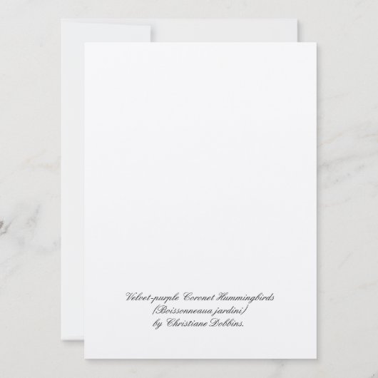 Coronet Hummingbird (Achterkant)