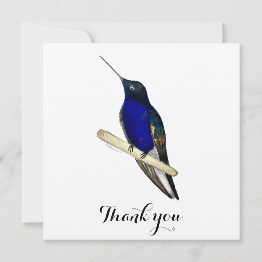 Coronet Hummingbird Bedankkaart (Voorkant)