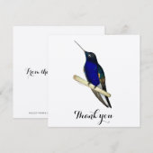 Coronet Hummingbird Bedankkaart (Voorkant / Achterkant)