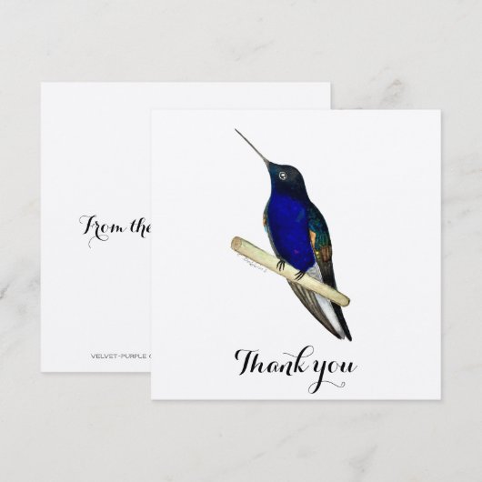 Coronet Hummingbird Bedankkaart (Voorkant / Achterkant)
