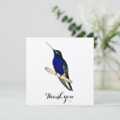 Coronet Hummingbird Bedankkaart (Staand voorkant)