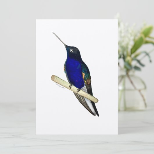 Coronet Hummingbird Card Bedankkaart (Staand voorkant)