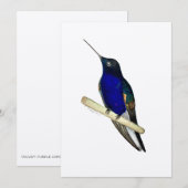 Coronet Hummingbird Card Bedankkaart (Voorkant / Achterkant)