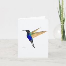 Coronet Hummingbird-Wenskaart Kaart