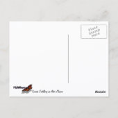 Coronis Fritillary op Aster Bloemen bij Grand Teto Briefkaart (Achterkant)