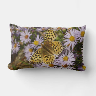 Coronis Fritillary op Aster Bloemen bij Grand Teto Kussen