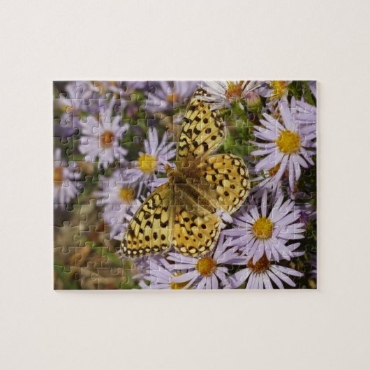 Coronis Fritillary op Aster Bloemen bij Grand Teto Legpuzzel (Horizontaal)