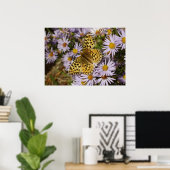 Coronis Fritillary op Aster Bloemen bij Grand Teto Poster (Thuiskantoor)