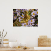 Coronis Fritillary op Aster Bloemen bij Grand Teto Poster (Keuken)