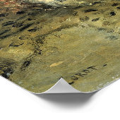 Corot - Algerijnse vrouw Poster (Hoek)