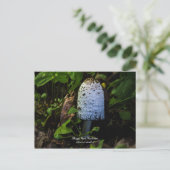 Corpinus Comatus "Shaggy Mushroom"-Briefkaart Feestdagenkaart (Staand voorkant)