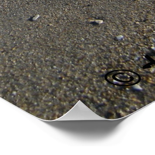 Corpus Christi Beach Poster (Hoek)