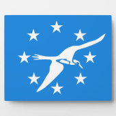 Corpus Christi City Flag Plaque Fotoplaat (Voorkant)