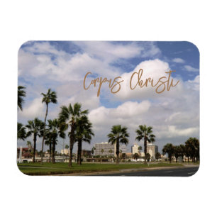 Corpus Christi, Texas Souvenir Magneet