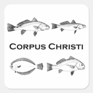 Corpus Christi Vist - Zoutwatervis Vierkante Sticker