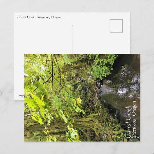 Corral Creek Briefkaart (Voorkant / Achterkant)