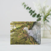 Corral Creek Briefkaart (Staand voorkant)