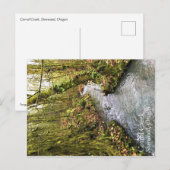 Corral Creek Briefkaart (Voorkant / Achterkant)