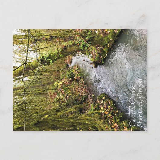 Corral Creek Briefkaart (Voorkant)