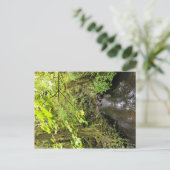Corral Creek Briefkaart (Staand voorkant)