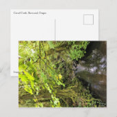 Corral Creek Briefkaart (Voorkant / Achterkant)