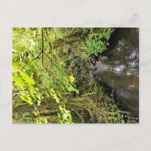 Corral Creek Briefkaart (Voorkant)