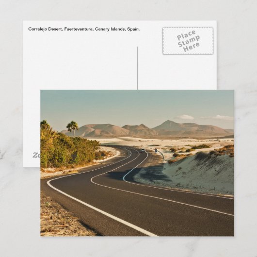 Corralejo Desert Road Briefkaart (Voorkant / Achterkant)