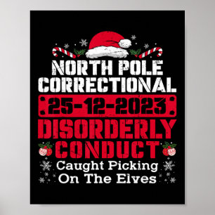 Correctioneel wanordelijk gedrag op Noordpool Poster
