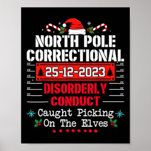 Correctioneel wanordelijk gedrag op Noordpool Poster