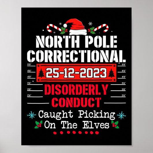 Correctioneel wanordelijk gedrag op Noordpool Poster (Voorkant)
