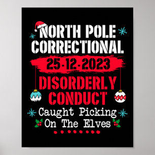 Correctioneel wanordelijk gedrag op Noordpool Poster