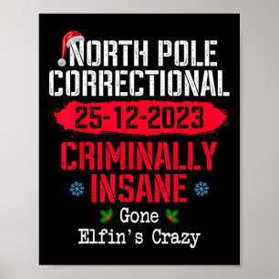 Correctionele misdadig gestoorde elf op de Noordpo Poster