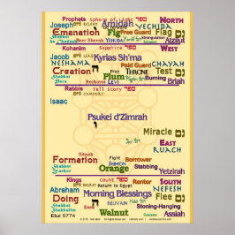 Correspondenestructuur Poster