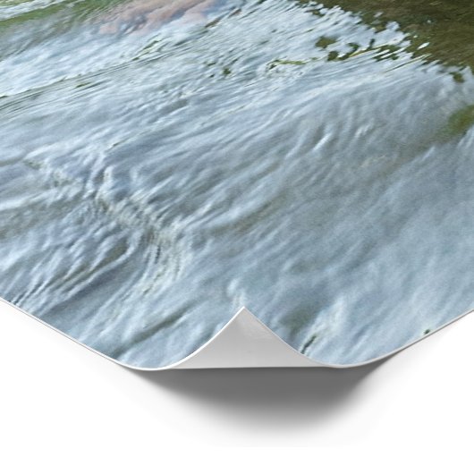 Corrina Rachel PsycheTruth Poster (Hoek)