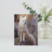 Corsac Fox Briefkaart (Staand voorkant)