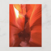 Corschroef Canyon Briefkaart (Voorkant)