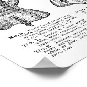 corsetcatalogus poster (Hoek)