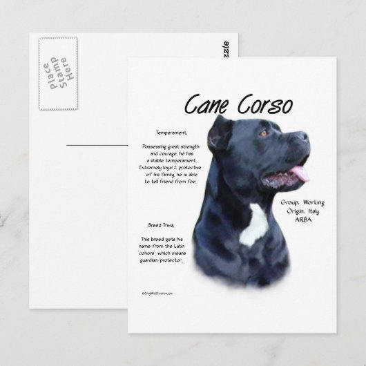 Corso-historisch ontwerp van riet briefkaart (Voorkant / Achterkant)