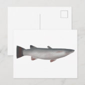 Corsula Briefkaart (Voorkant / Achterkant)