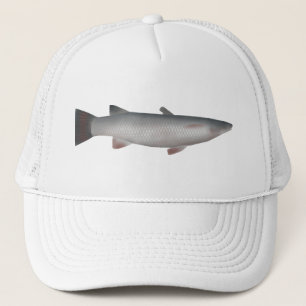 Corsula Trucker Pet