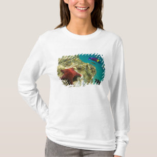 Cortez Regenwrasse mannetje en vrouwtje en zee T-shirt