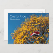 Corteza amarilla Costa Rica Briefkaart (Voorkant / Achterkant)